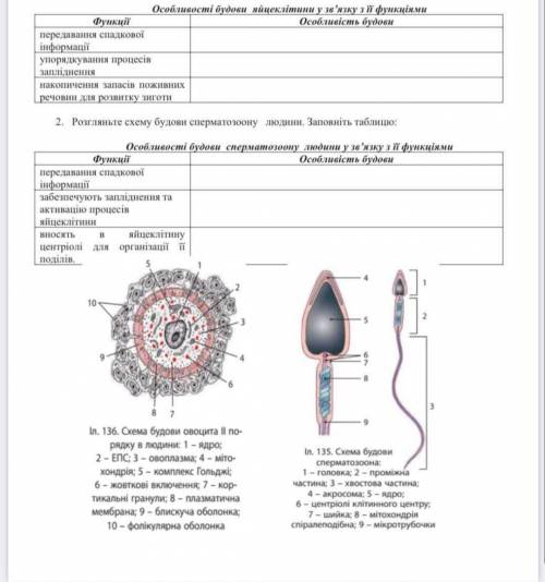 , желательно на сегодня