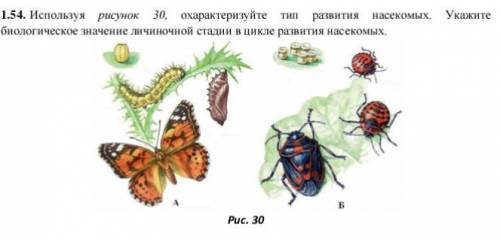 НА МАКСИУМ ОЦЕНЮ ОТВЕТЫ (только 23-24 марта) Используя рисунок 30, охарактеризуйте тип развития насе