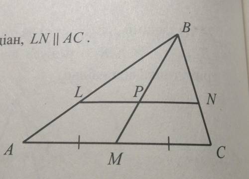 На рисунку зображено трикутник АВС, Р— точка перетину його медіан, LN || АС. Визначте ... 1) BN:NC;2