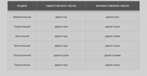 проскланяйте слова по падежам директор,тетрадь, яблоко