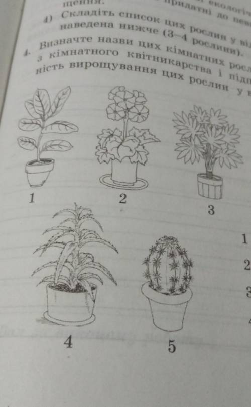 Bизначте назви цих кімнатних рослин за до довідників кімнатного квітникарства і підпишіть їх. Визнач