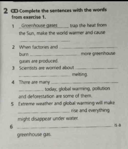 Слова из 1 упражнения: greenhouse gasesglobal warmingfossil fuelspower stationscarbon dioxide sea le