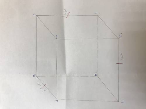 Нужно нарисовать по МЕТОДУ СЛЕДОВ в см указаны линии до отметок куб 8*8