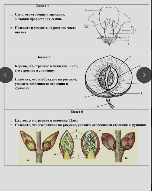 Билеты по биологии за 6 класс​