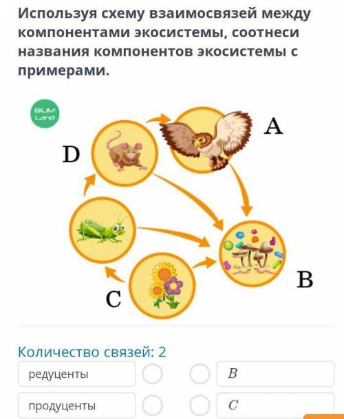 Используя схему взаимосвязей между компонентами экосистемы, соотнеси названия компонентов количество