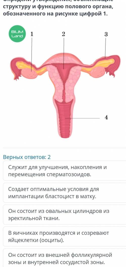 ответ чтобы был правильный ​