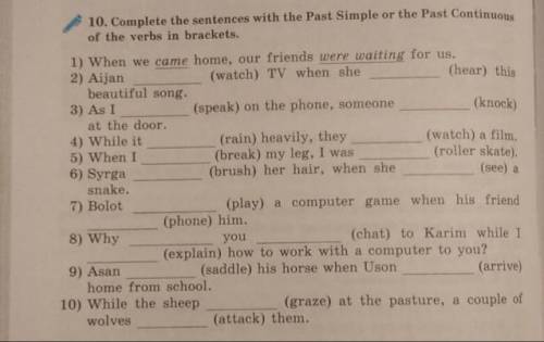 10. Complete the sentences with the Past Simple or the Past Continuous of the verbs in brackets.