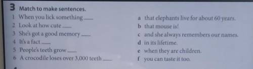 3 Match to make sentences. 1 When you lick something2 Look at how cute3 She's got a good memory -4 I