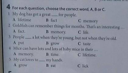 4 For each question, choose the correct word, A, B or C. 1 My dog has got a great for people.A lifet