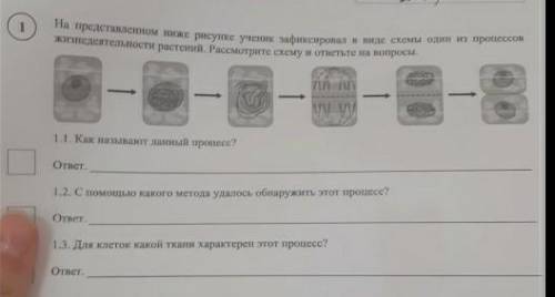 ВПР. Биология. 6 класс. Вариант 2 на представленном ниже рисунке ученик зафиксировал у виде схем оди