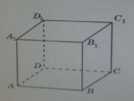 В единичном кубе A...D1 найдите длину вектора: a) вектор AC; б) вектор BD1