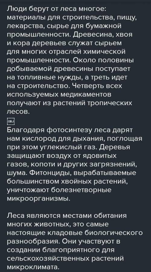 Почему, по мнению автора текста, нельзя легко- мысленно относиться к лесам, а необходимо ихберечь?(к