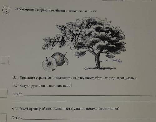 Впр биология 6 класс 2021ответь на вопросы которые на фото​