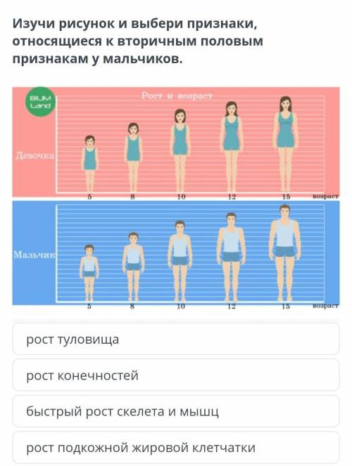 Изучи рисунок и выбери признаки, относящиеся к вторичным половым признакам у мальчиков.​