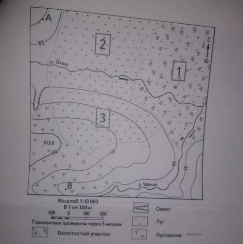 На каком берегу реки Тихая находится овраг? В каком направлении от участка 3 расположено болото?