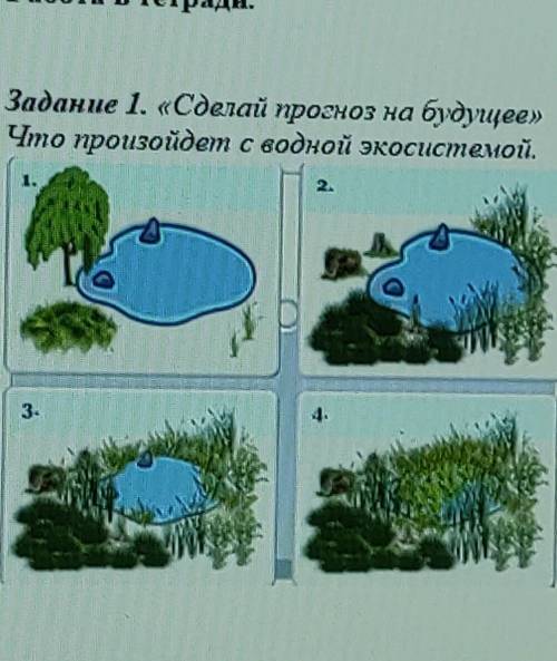 Сделай прогноз на будущее Что произойдет с водной экосистемой.​