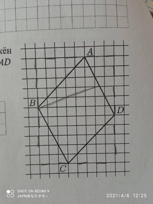 На клетчатой бумаге с размером клетки 1х1 изображён параллелограмм ABCD. Найдите произведение сторон