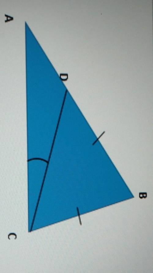 На стороні АВ трикутника АВС позначено точку D так,що кут ACD = 15°,кут DCB = 40°.Знайдіть кути трик