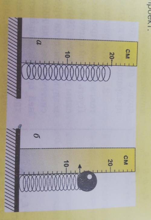 2. Выполните следующую работу. Приложите к пружине линейку и измерьте ее длину (рис. 5.8, а). Затем