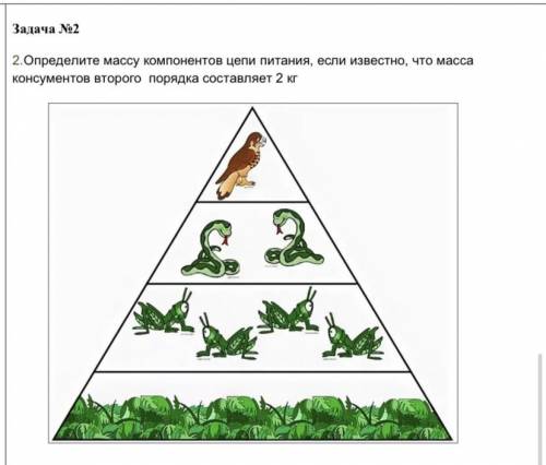 • На основании правила экологической пирамиды определите, сколько нужно куликов ,хищных насекомых, т