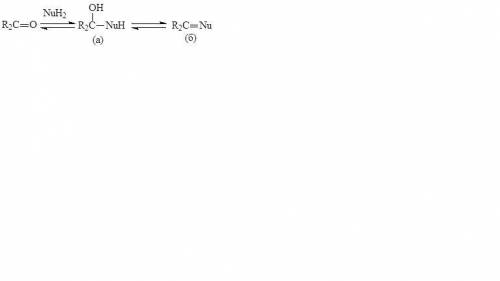 По схеме с образованием конечного продукта «б» протекает реакция карбонильных соединений с -: гидраз