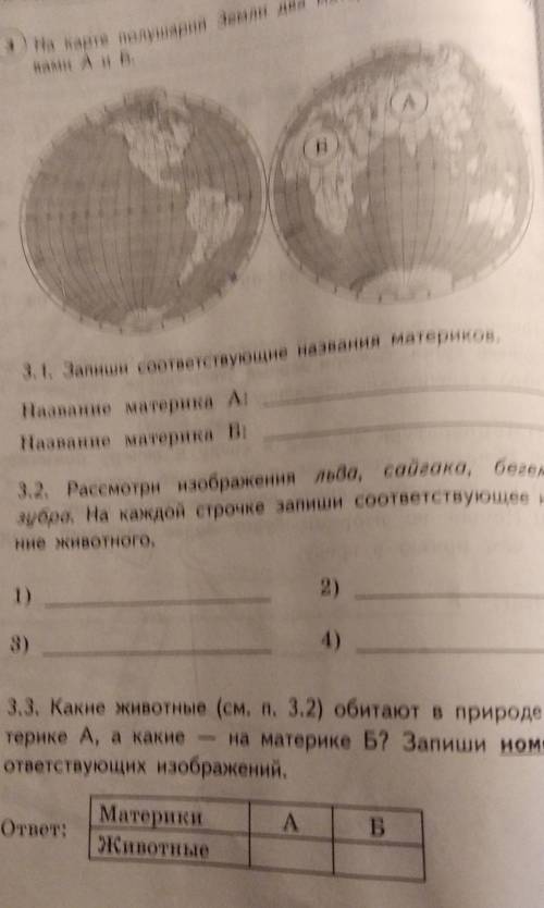 На карте полушарий Земли два материка обозначены Б3.1. Запиши соответствующие названия материков.Наз