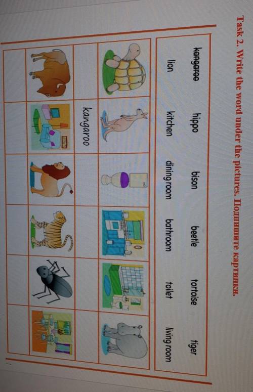 Task 2. Write the word under the pictures. Toquamte KapTHAKH. 1. kangaroo2. hippo3. bison4. beetle5.