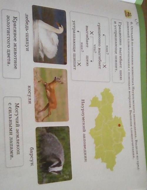 Отгадай по описанию животных Наурзумского заповедника. Выдели из предложений словосочетания с вопрос
