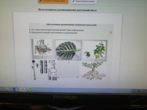 1.что такое вегетативное размножение растений? Дать определение 2.определите вегетативное размножен