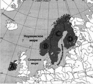 Какой буквой на фрагменте политической карты зарубежной Европы обозначено государство Норвегия?