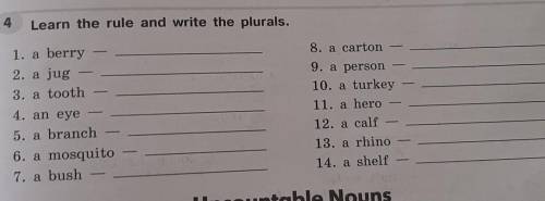 Learn the rule and write the plurals. 1. a berry2. a jug3. a tooth4. an eye8. a carton9. a person10.
