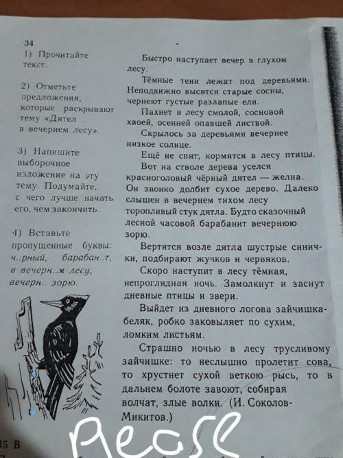 34 1) Прочитайтетекст.E2) Отметьтепредложения,которые раскрываюттему «Дятелв вечернем лесу».3) Напиш