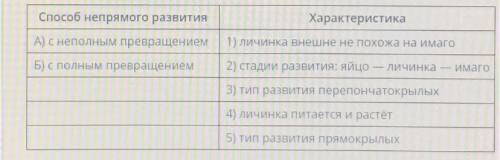 Установите соответствие между непрямого развития насекомого и его характеристикой