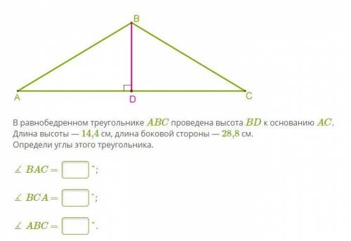 В равнобедренном треугольнике ABC проведена высота BD к основанию AC. Длина высоты — 14,4 см, длина