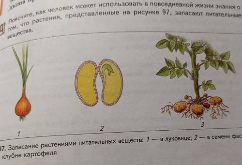 Поясните, как человек может использовать в повседневной жизни знания о том, что растения, представле