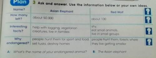 Plan 3 Ask and answer. Use the information below or your own ideas. Name?Asian ElephantRed WolfHow m