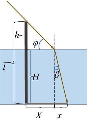 ... В дно водоёма вбита свая длиной l= 1,25 м. Свая возвышается над поверхностью воды на h= 0,13 м.