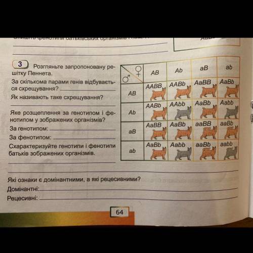 Рассмотрите предложенную ре- шитку Пеннета. По скольким парами генов видбуваеть- ся скрещивания ?. К