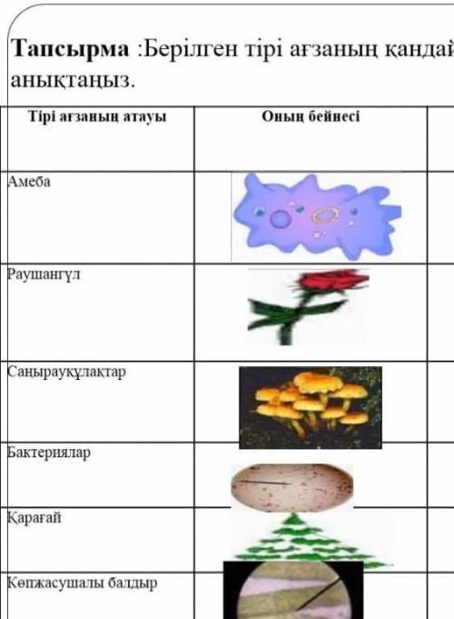 .көмектесіңізші жаратылыстану 5сынып,осы ағзалар қай патшалыққа жатады,сол ағзалардың белгілерін жаз