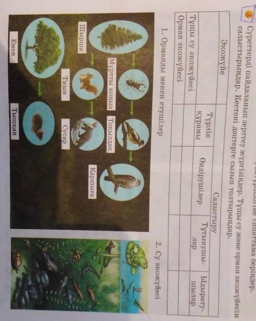 Суреттерді пайдаланып зерттеу жүргізіңдер. Тұщы су және орман экожүйесін салыстырыңдар. Кестені дәпт