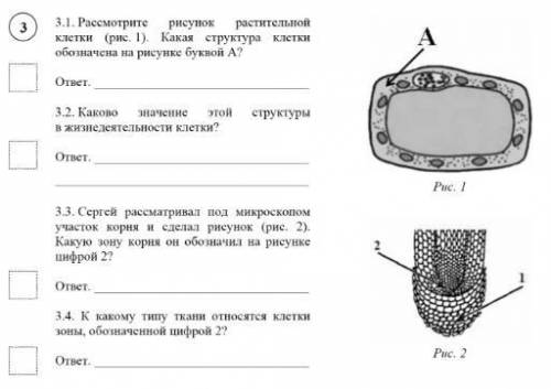 Здравствуйте с ВПР по Биологии, 6 класс.