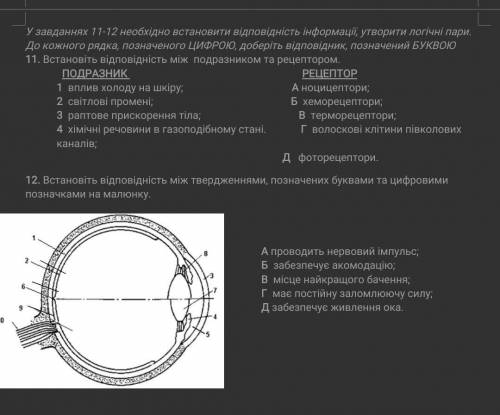 решите 11,12 задание, ​