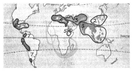 Задание 2. Установите соответствие между растениями и центрами их происхождения (на карте обозначены