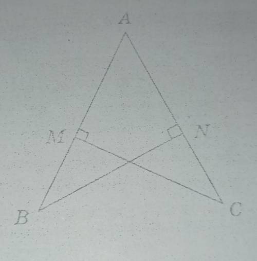 А1. Прямоугольные треугольники ANB и AMC, изображени- ные на рисунке (AB = AC), равныа) по двум кате