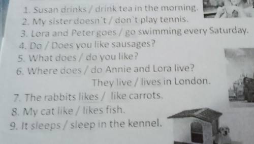 1. Susan drinks / drink tea in the morning, 2. My sister doesn't/ don't play tennis,3. Lora and Pete