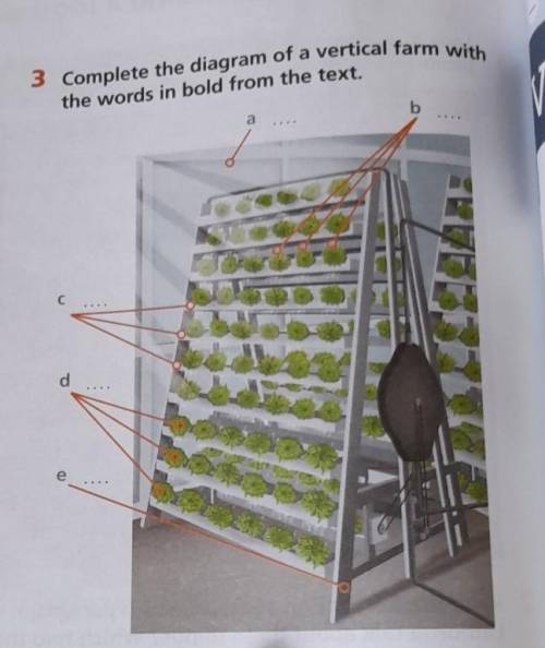 Complete the diagram of a vertical farm withthe words in bold from the text.​