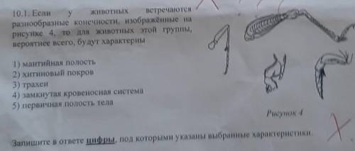 10.1. Если увстречаютсяразнообразные конечности, изображённые нарисунке 4, то для животных этой груп