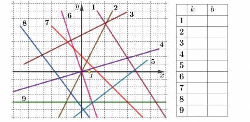 На рисунке представлены девять графиков линейных функций y= kx + b. Для каждого из низ определите зн