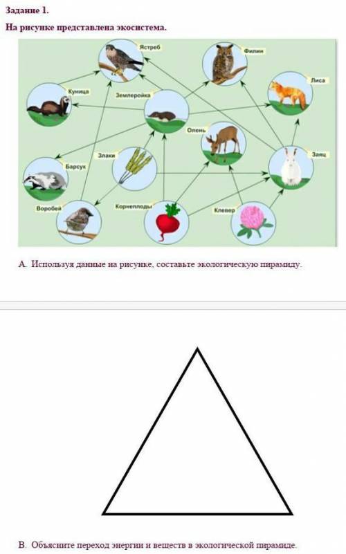 На рисунке представлена экосистема. A.   Используя данные на рисунке, составьте экологическую пирами