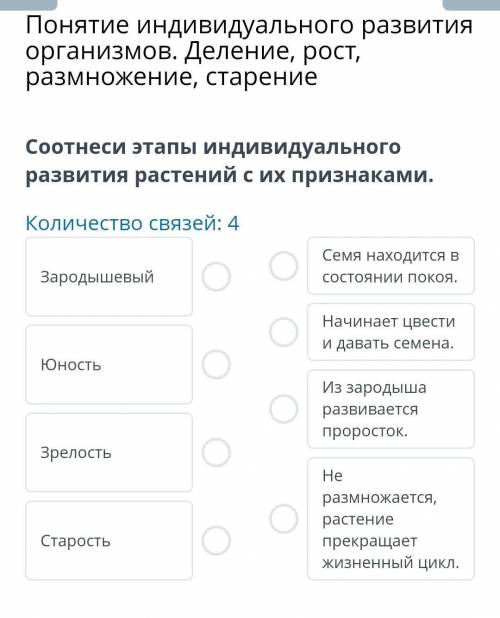 Понятие индивидуального развития организмов. Деление, рост, размножение, старение Соотнеси этапы инд